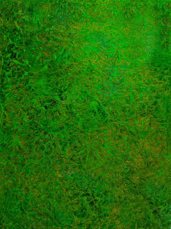 Drew Wood, Quasar, 2009, oil, color-shifting enamel, acrylic, and synthetic resin on canvas, 36"x48"x1.5"