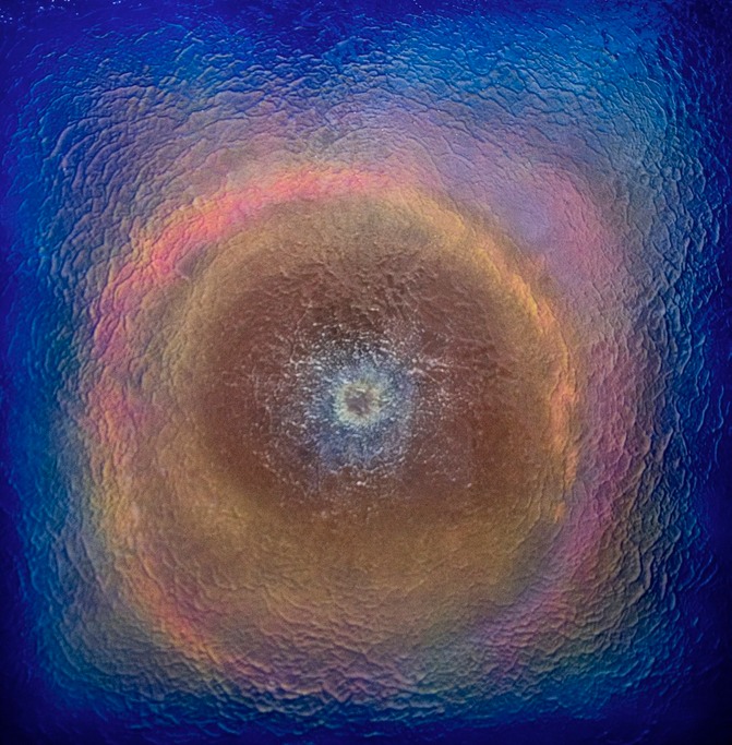 Drew Wood, Retinal Halo 6, 2011, oil, color-shifting and thermal reactive enamel, acrylic, and synthetic resin on canvas, 48"x48"x1.5", nfs