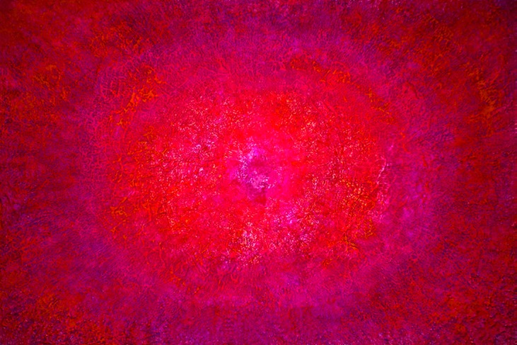Drew Wood, Retinal Halo 7, 2011, color-shifting and thermal reactive enamel, acrylic, and synthetic resin on canvas, 72"x48"x1.5", nfs